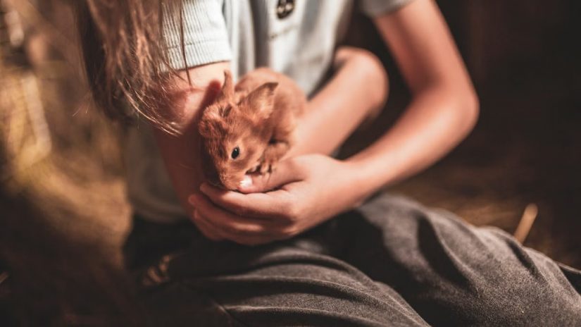 Kā veidot veselīgu dzīvesveidu katru dienu